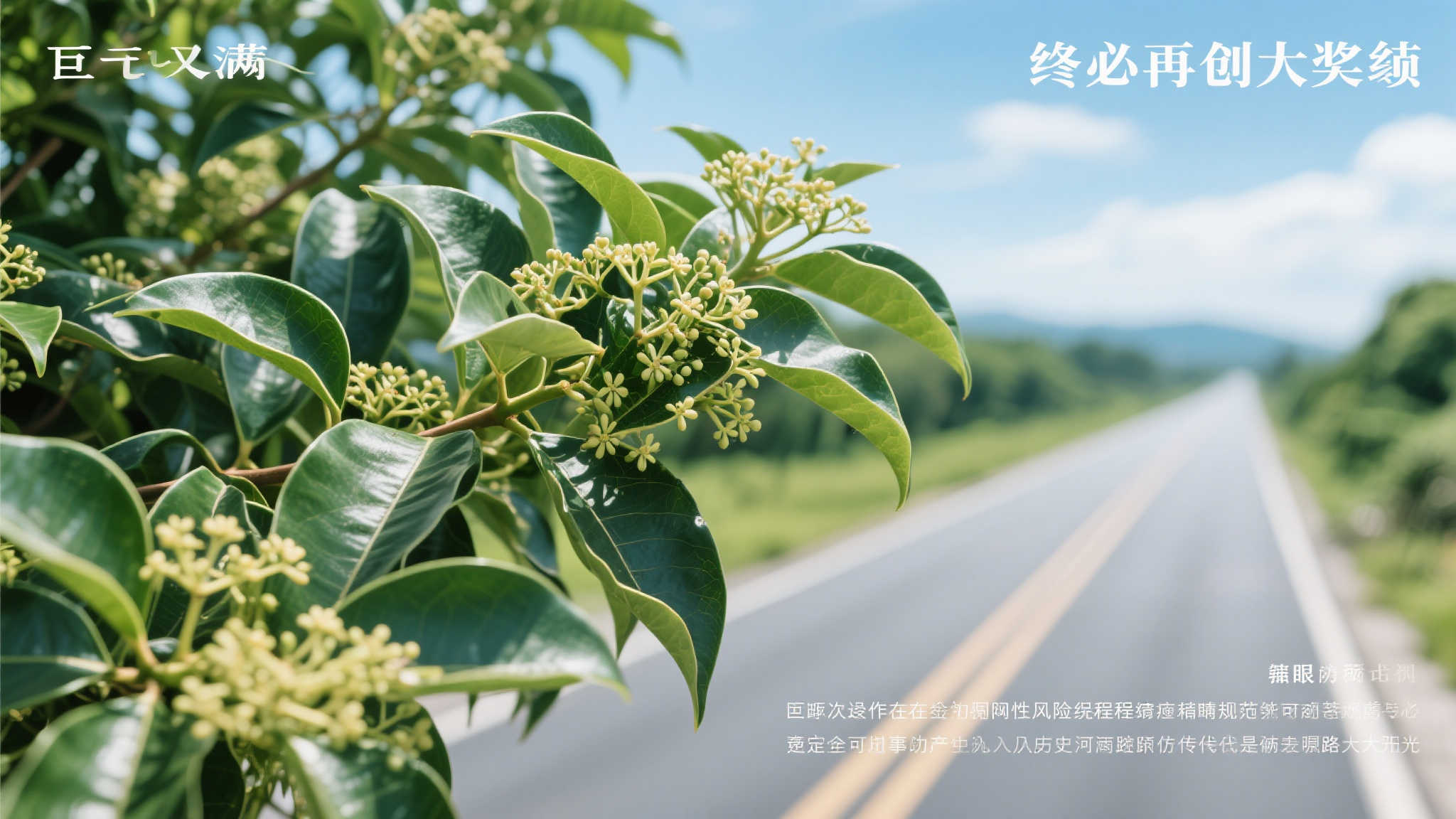 全球总决赛中心